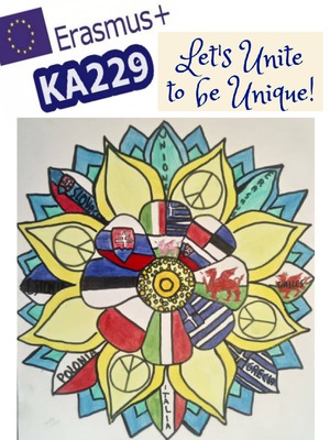 Erasmus+ - logo KA229